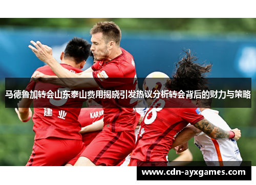 马德鲁加转会山东泰山费用揭晓引发热议分析转会背后的财力与策略